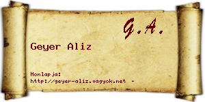 Geyer Aliz névjegykártya